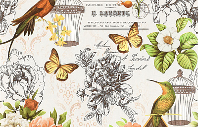 Брянские Обои Колибри гфр 2 С66БР-ГП